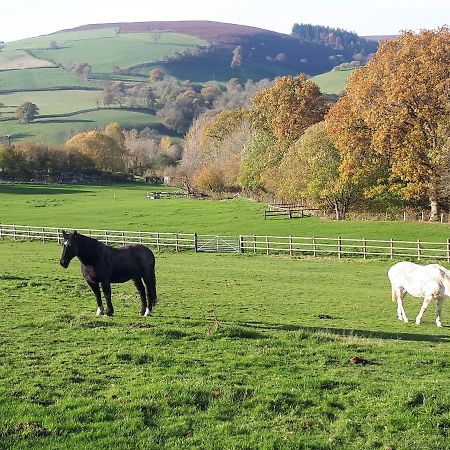 Villa Buzzards Breg Builth Wells Esterno foto