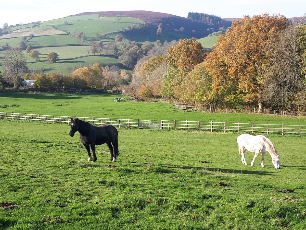 Villa Buzzards Breg Builth Wells Esterno foto